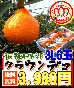 みかん デコポン 送料無料 樹上完熟 平均糖度16度 和歌山県下津産[クラウンデコポン6玉]3Lサイズ 熊本デコポン コロナウイルス予防 ビタミンC摂取 免疫力アップ