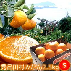 https://thumbnail.image.rakuten.co.jp/@0_mall/fruits-senba/cabinet/01978646/kihon3/imgrc0075264401.jpg