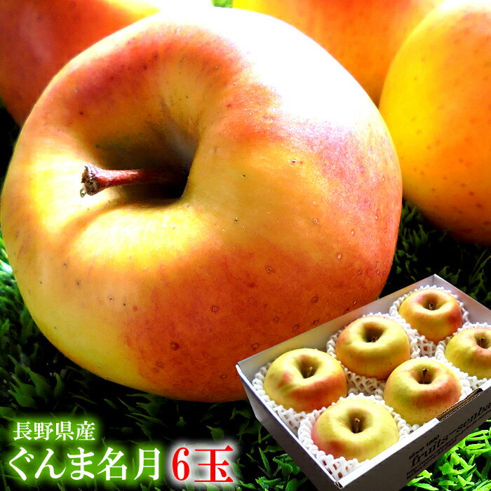 ぐんま名月 名月 めいげつ りんご リンゴ 林檎 フルーツギフト りんごギフト [ぐんま名月6玉] ギフト対応 完全包装 のし各種対応