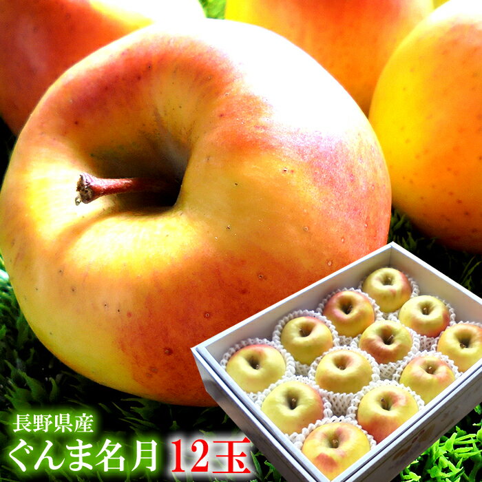 ぐんま名月 名月 めいげつ りんご リンゴ 林檎 フルーツギフト りんごギフト [ぐんま名月12玉] ギフト対応 完全包装 のし各種対応
