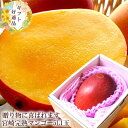 マンゴー お中元 暑中お見舞い 夏ギフト 贈り物 内祝い 出産内祝い お祝い 謝礼 お礼 お見舞い 快気祝い お供え ご霊前 手土産ギフト ゴルフコンペ景品 ご...