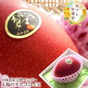 太陽のタマゴ マンゴー 贈り物 内祝い 出産内祝い 誕生日プレゼント お祝い お礼 お見舞い 快気祝い お供え 手土産ギフト ゴルフコンペ景品 ご結婚お祝い 結...