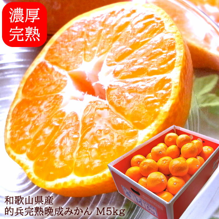 みかん ミカン 有田みかん 温州みかん 田口完熟みかん 送料無料 和歌山県有田産[完熟的兵みかんM5kg]1月中旬より出荷(4)