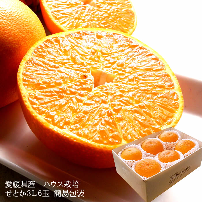 せとか みかん 大トロ 送料無料 フルーツギフト 送料無料 じゅわ〜っと果汁たっぷり甘い満載！愛媛県産..