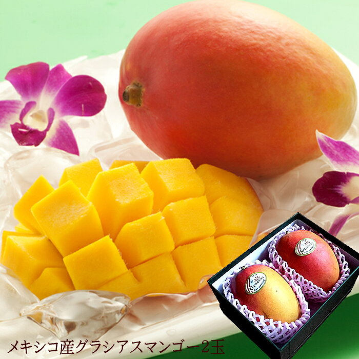 マンゴー アップルマンゴー お中元 メキシコ産甘味の強いマンゴー [グラシアスマンゴー2玉] 誕生日プレゼント お祝い 謝礼 粗品 お礼 お見舞い 快気祝い お供え ご霊前 手土産ギフト ゴルフコンペ景品 ご結婚お祝い 結婚内祝い 寿のサムネイル