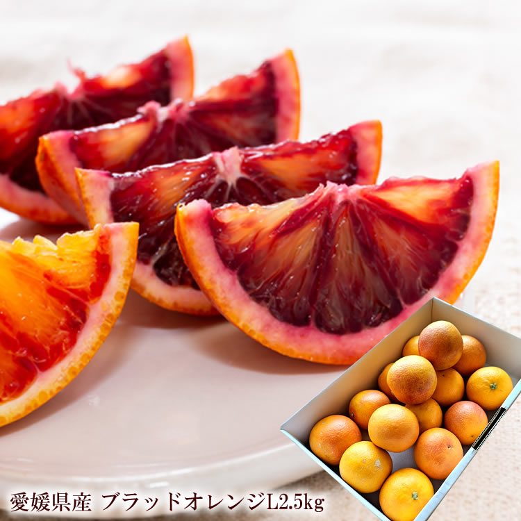 血のオレンジと呼ばれる国産ブラッドオレンジ 愛媛県産 [ ブラッドオレンジ1.8kg ] モロ種 タロッコ種のサムネイル
