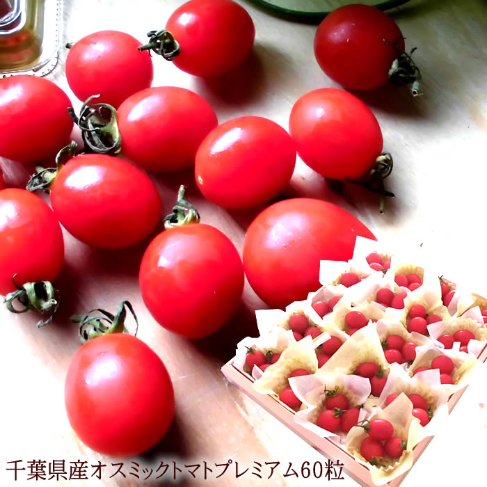 高糖度フルーツトマト オスミックトマト 内祝い 出産内祝い 誕生日プレゼント お祝い お礼 お見舞い 快気祝い お供え 手土産ギフト ゴルフコンペ景品 ご結婚お祝い 結婚内祝い 寿 [オスミックトマト60粒]のサムネイル