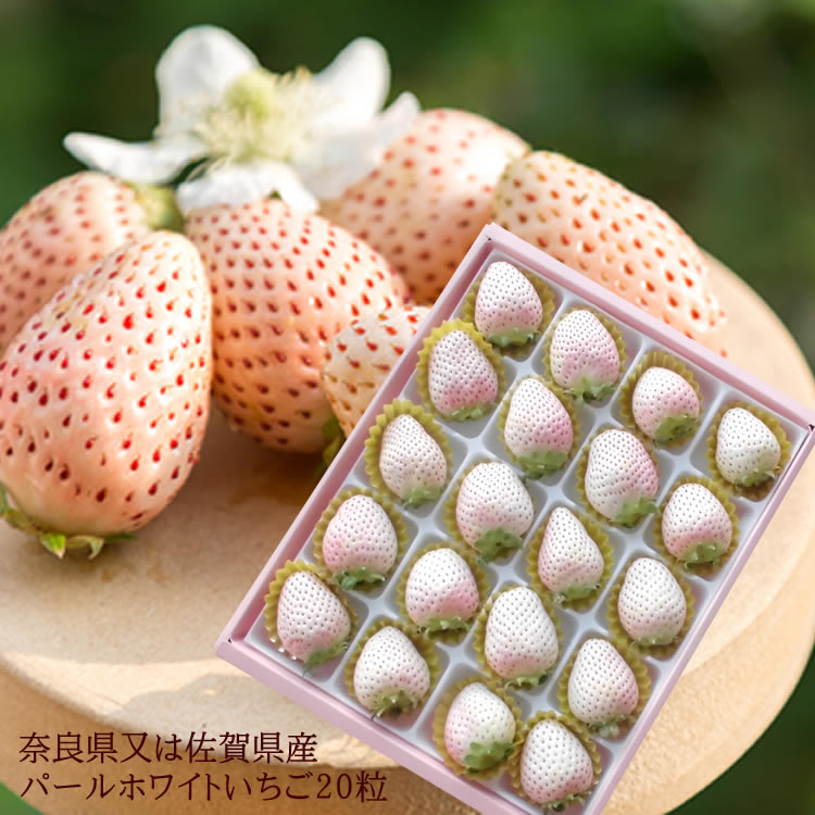 白く輝く希少品種の白いちご [パールホワイトL20粒] 奈良県または佐賀県産 内祝い 出産内祝い 誕生日プレゼント お祝い お礼 お見舞い 快気祝い お供え 手土産ギフト ゴルフコンペ景品 ご結婚お祝い 結婚内祝い 寿