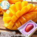 マンゴー お中元 暑中お見舞い 残暑お見舞い 夏ギフト 夏のごあいさつ 夏の贈り物 内祝い 出産内祝い お祝い 謝礼 お礼 お見舞い 快気祝い お供え ご霊前 ...