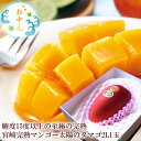 太陽のタマゴ マンゴー お中元 夏ギフト 贈り物 内祝い 出産内祝い 誕生日プレゼント お祝い お礼 お見舞い 快気祝い お供え 手土産ギフト ゴルフコンペ景品...