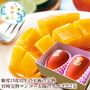 太陽のタマゴ お中元 夏ギフト マンゴー 贈り物 内祝い 出産内祝い 誕生日プレゼント お祝い お礼 お見舞い 快気祝い お供え 手土産ギフト ゴルフコンペ景品...