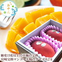 太陽のタマゴ お中元 夏ギフト マンゴー 贈り物 内祝い 出産内祝い 誕生日プレゼント お祝い お礼 お見舞い 快気祝い お供え 手土産ギフト ゴルフコンペ景品...