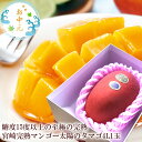 太陽のタマゴ お中元 夏ギフト マンゴー 贈り物 内祝い 出産内祝い 誕生日プレゼント お祝い お礼 お見舞い 快気祝い お供え 手土産ギフト ゴルフコンペ景品...