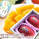 太陽のタマゴ お中元 夏ギフト マンゴー 贈り物 内祝い 出産内祝い 誕生日プレゼント お祝い お礼 お見舞い 快気祝い お供え 手土産ギフト ゴルフコンペ景品...