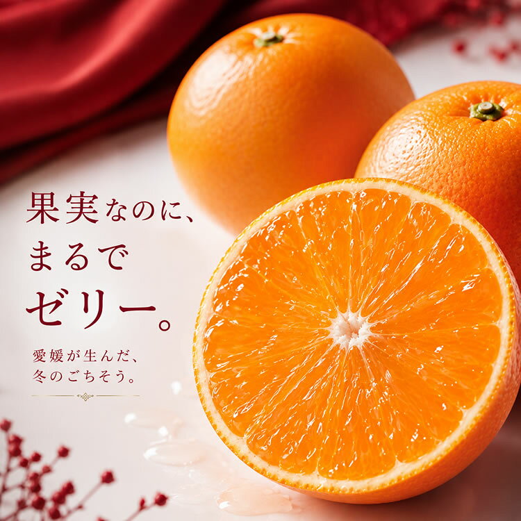 愛媛県産 媛まどんな（あいか） 愛果28号 紅まどんなと同品種 送料無料 みかん 高級柑橘 ゼリー食感 お歳暮 御歳暮 冬ギフト ギフト 贈答用 プレゼント フルーツ 果物 お取り寄せ fruits-senba-10000857 果物の果夢ゐ サンプル画像2