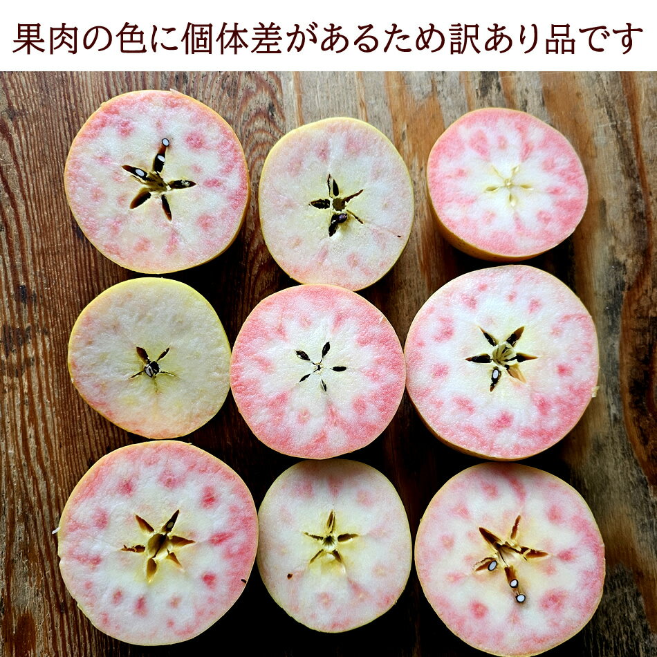 赤肉りんご 希少品種 長野県産 果肉の色に個体差がある訳あり品 [ 小玉なかののきらめき5~6玉 ] 送料無料のサムネイル