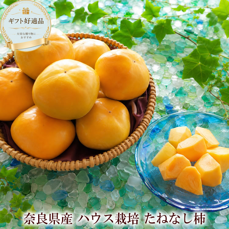 夏に旬を迎える奈良県産ハウス栽培のたねなし柿 お中元 フルーツギフト 柿ギフト 種無し柿 1.7kg
