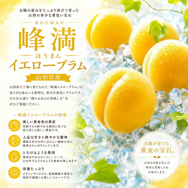 果物の果夢ゐの峰満イエロー 山形すもも スモモ プラム 内祝い 出産内祝い お祝い お供え 山形産 [峰満イエロープラム]｜アングル3