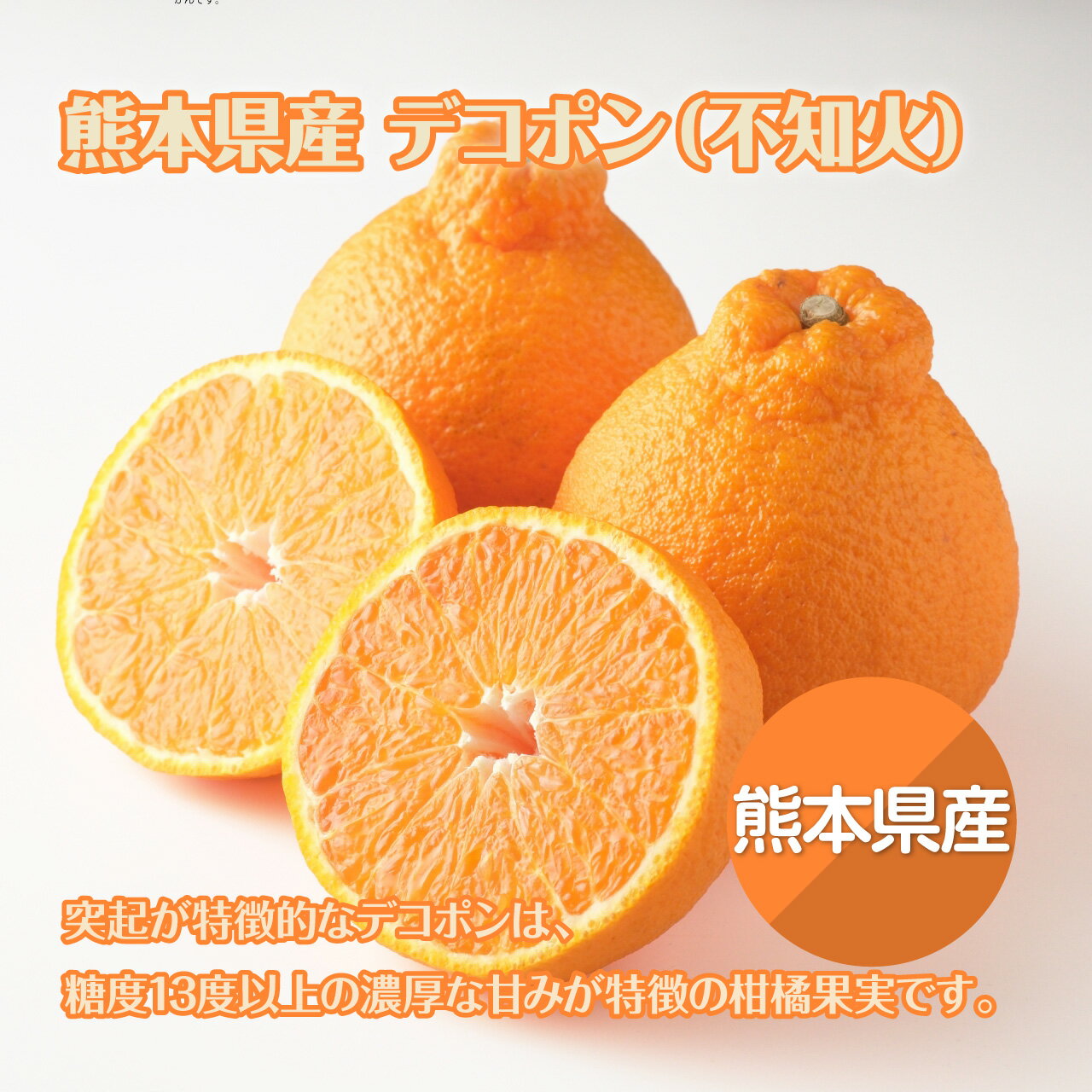 【送料無料】熊本県産 デコポン 2.5kg【ファミリー用に】