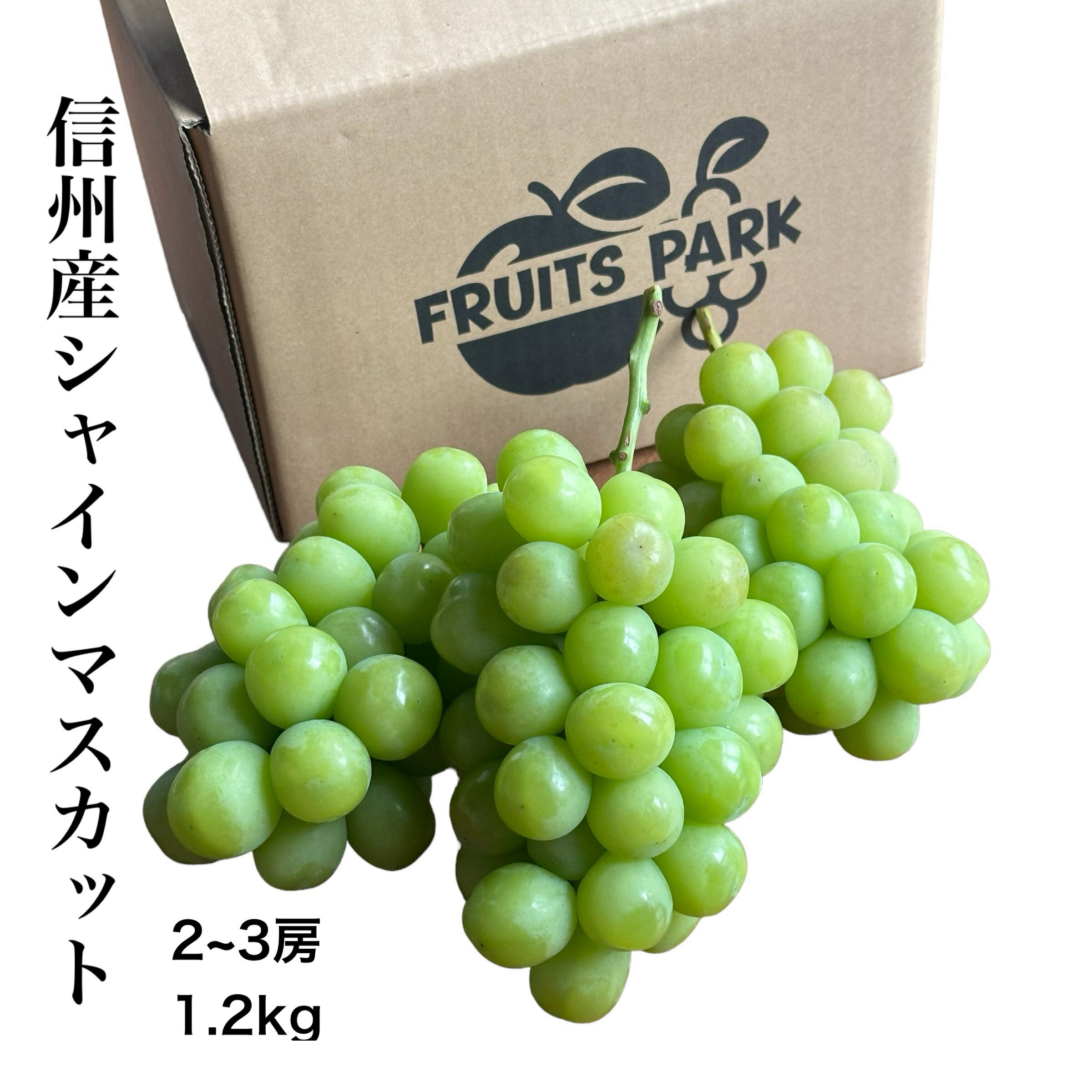信州産 シャインマスカット 秀品 2〜3房 1.2キロ マスカット ぶどう 産地直送