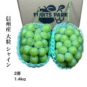 大粒シャインマスカット 秀品 3L 1.4キロ 2房 信州産 送料無料