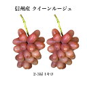 信州産 クイーンルージュ 秀品 1キロ 2~3房 送料無料