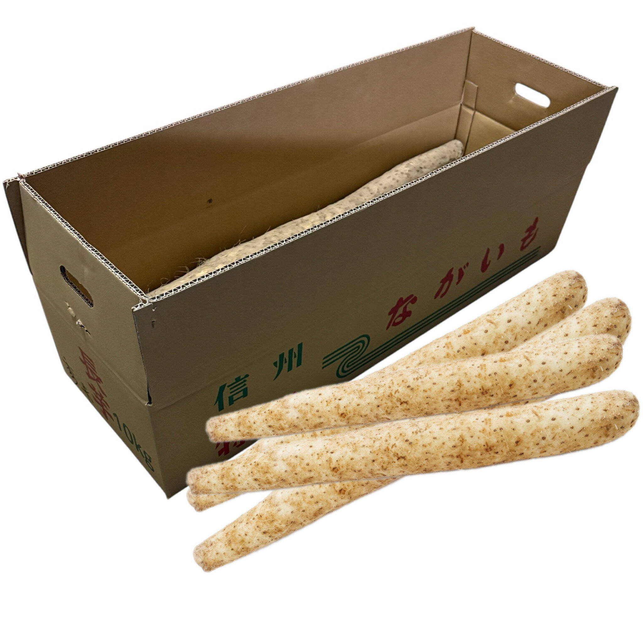 楽天市場】10kg(里芋|野菜・きのこ):食品の通販 楽天市場】10kg(里芋|野菜・きのこ):食品の通販