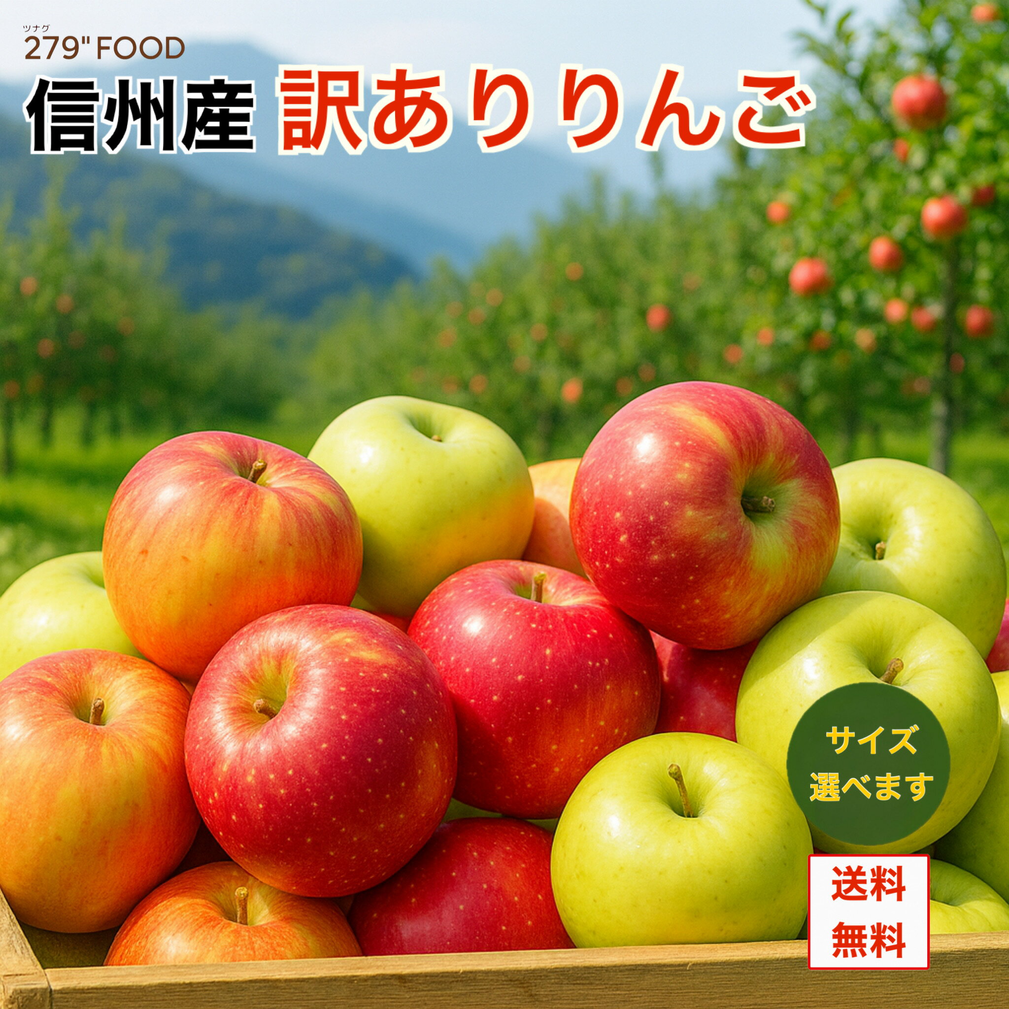信州産 旬のりんご 訳あり 家庭用 サイズ選べます送料無料