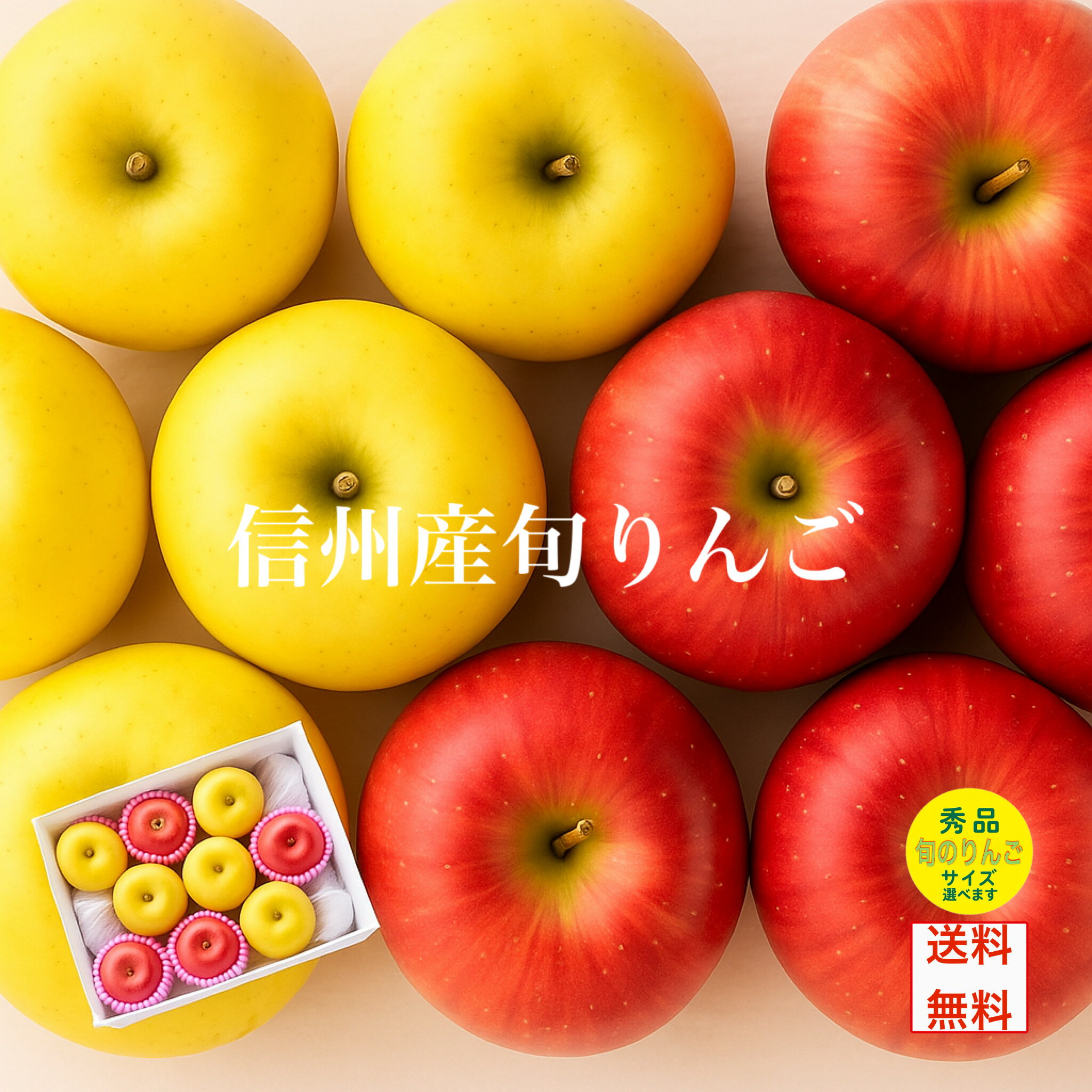 �ܤΤ�� ������٥��å� ���ޤ���3�ʼ� ����̵�� £�� ���ե�