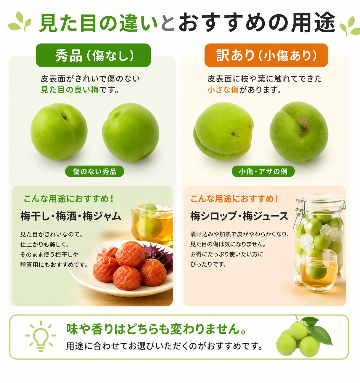 秀品 中梅 青梅 信州産 品種おまかせ