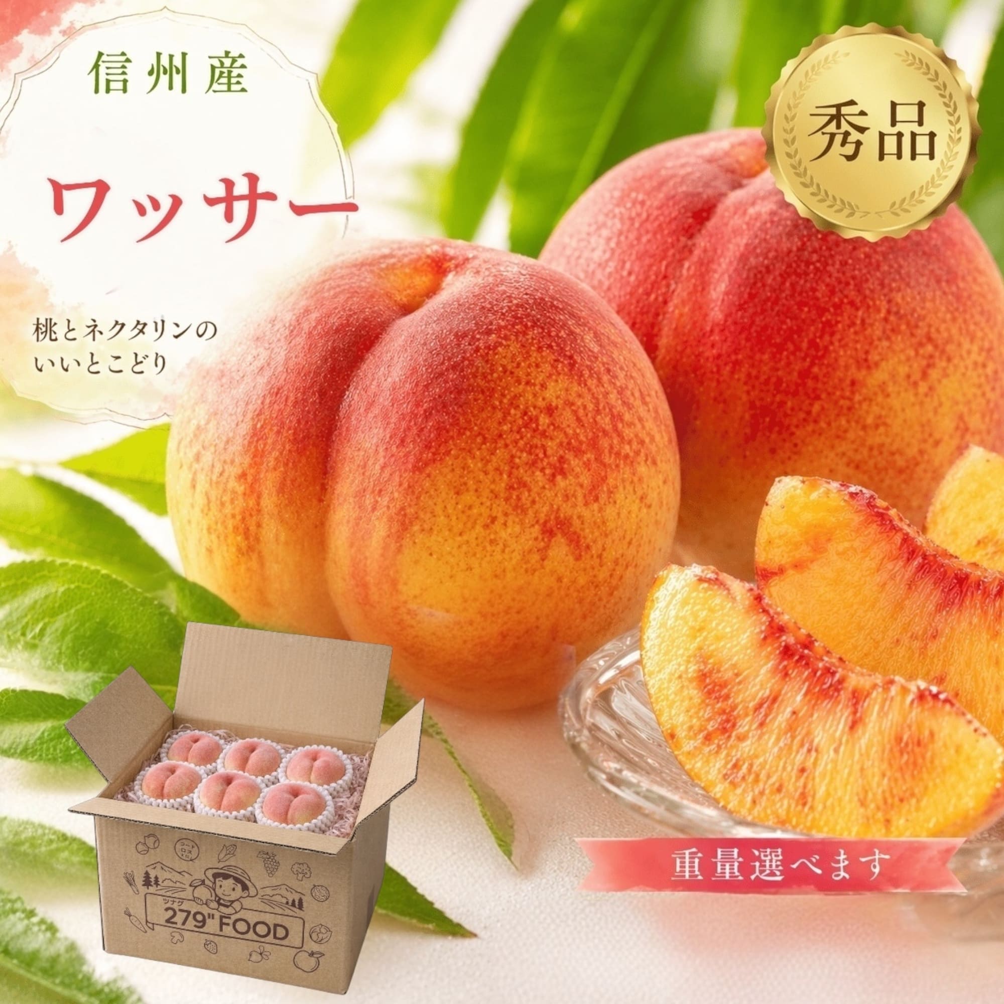 早生ワッサー家庭用10キロ ⑤早生ワッサー家庭用10キロ 早生ワッサー