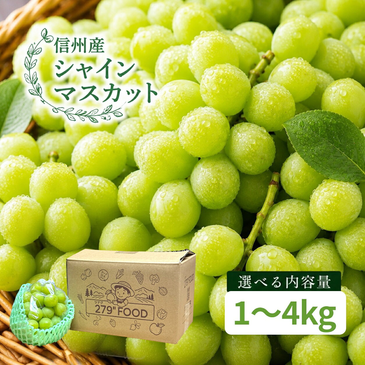 シャインマスカット ぶどう 信州産 送料無料 内容量選べます！