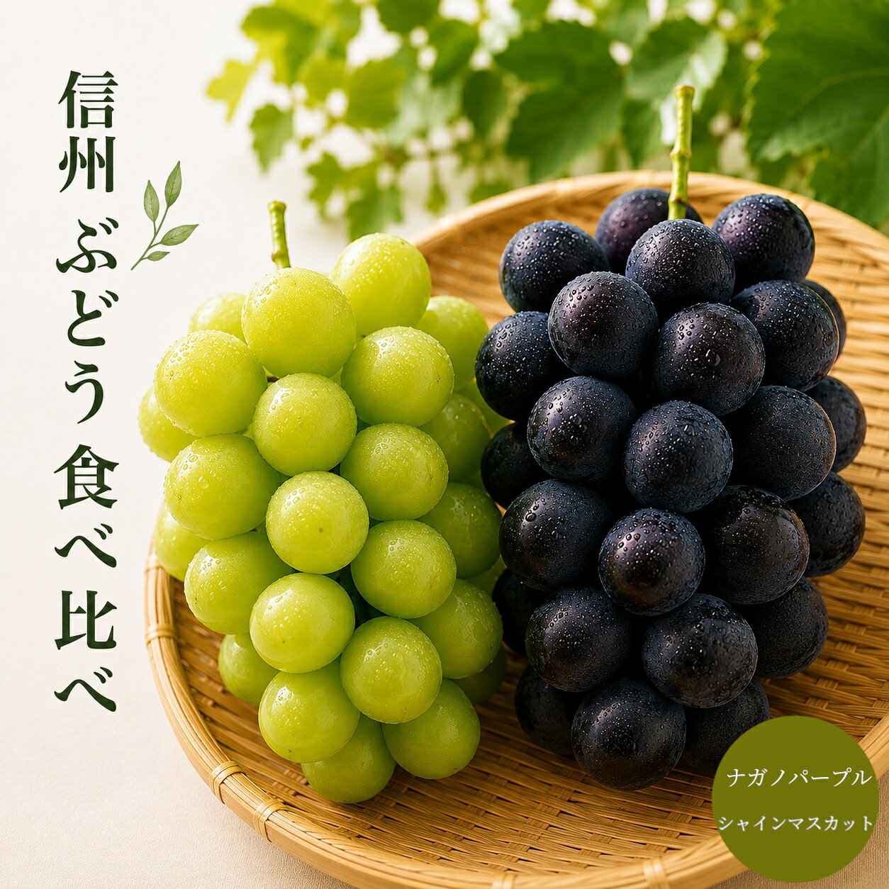 信州産 シャイン ナガノパープル 食べ比べセット 秀品 1キロ 2房 送料無料 のし対応