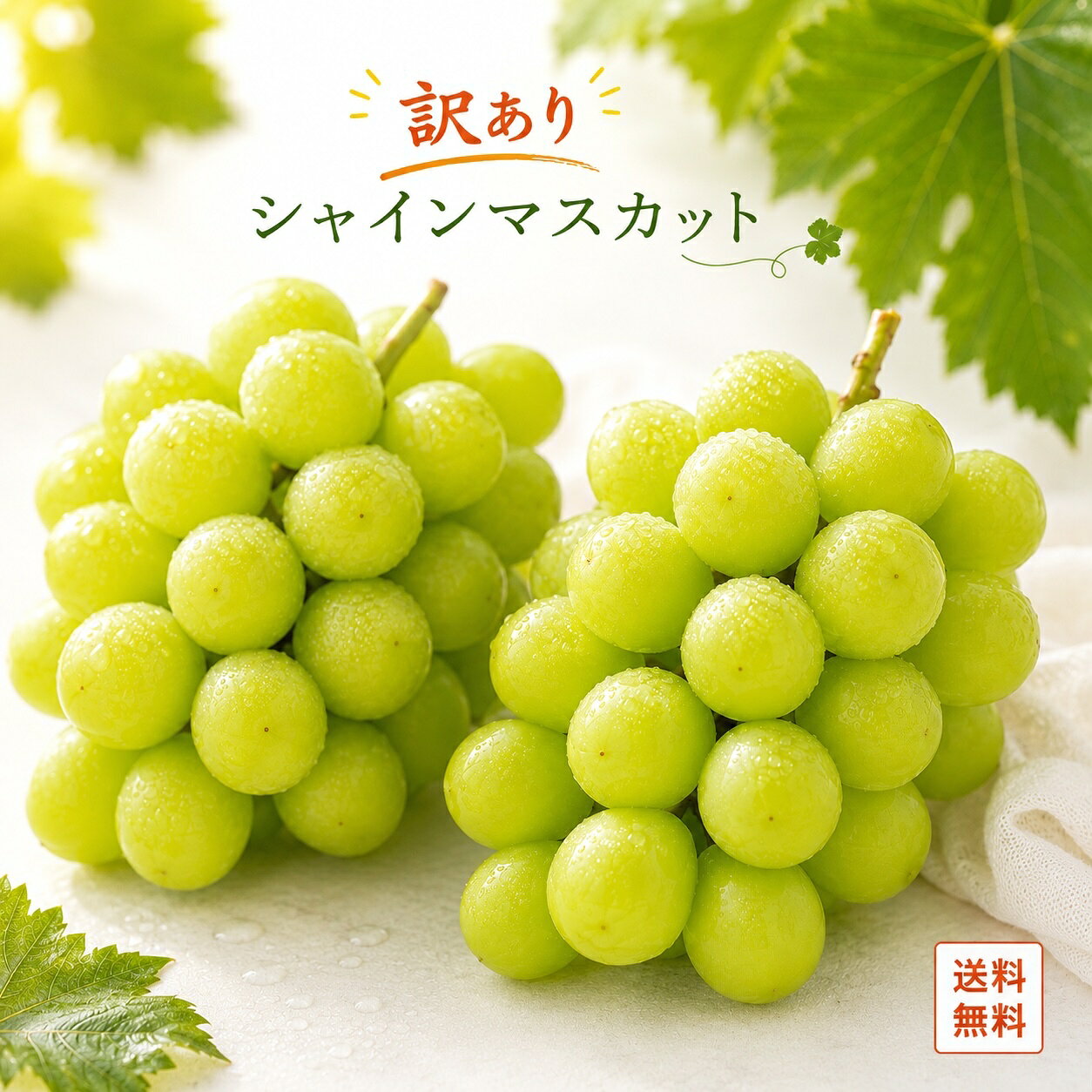 楽天市場】シャインマスカット 家庭用の通販