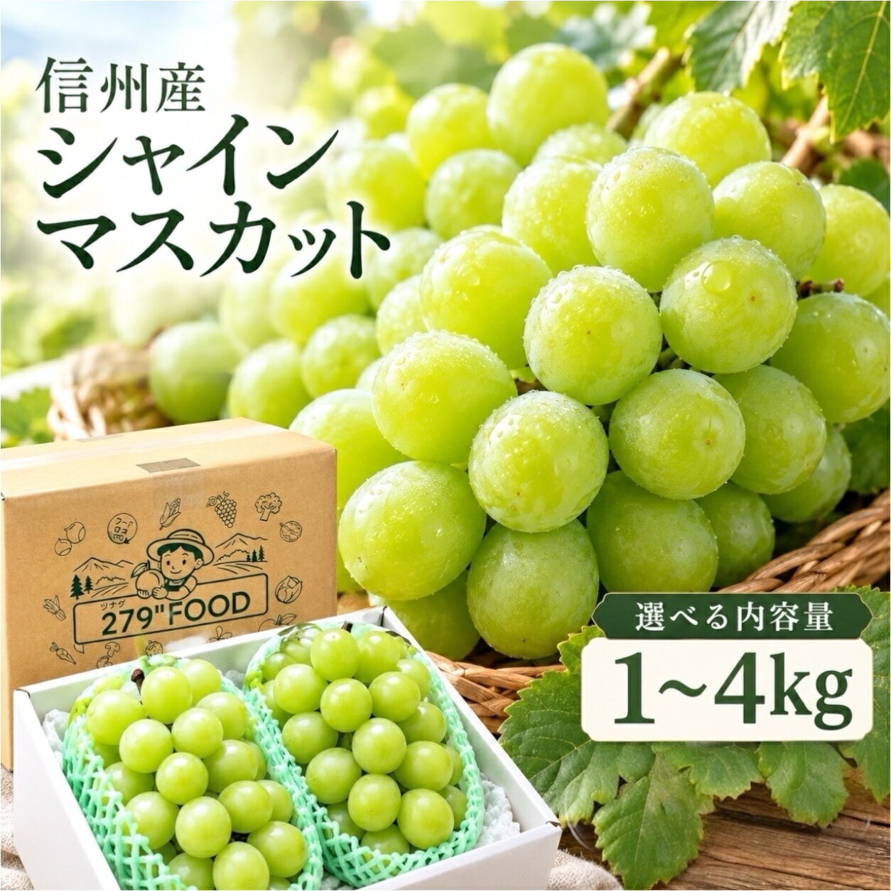 楽天市場】シャインマスカット 4kgの通販