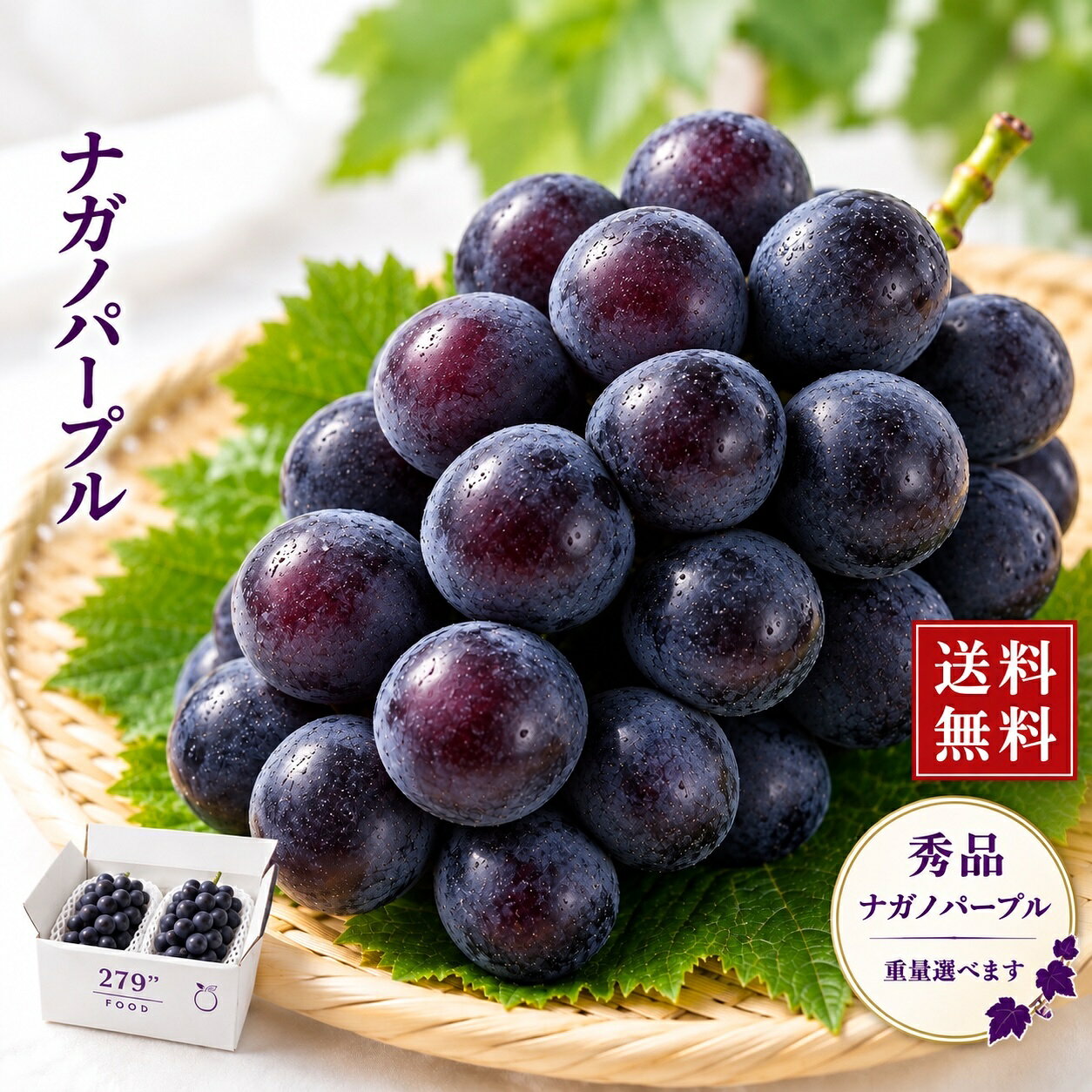 楽天市場】ナガノパープル苗の通販