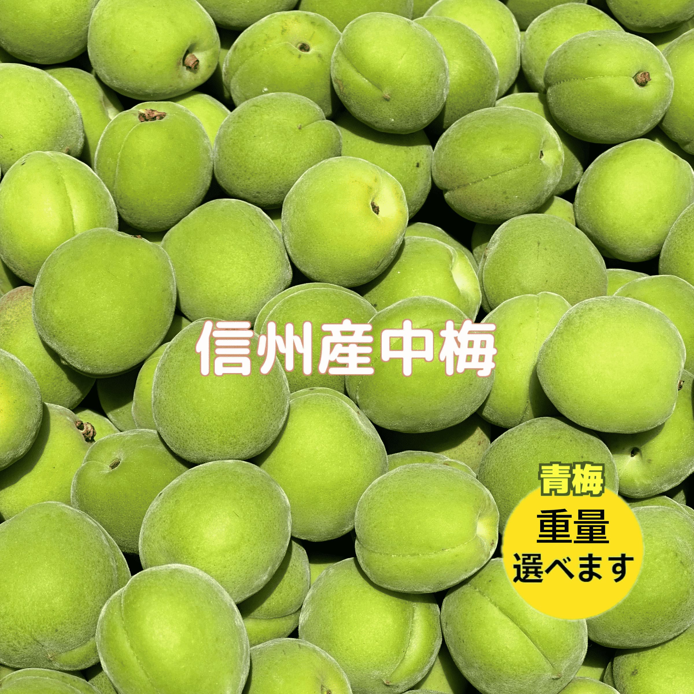 楽天市場】青梅 10kg（総重量（果物）3.00 ～ 3.99kg）の通販