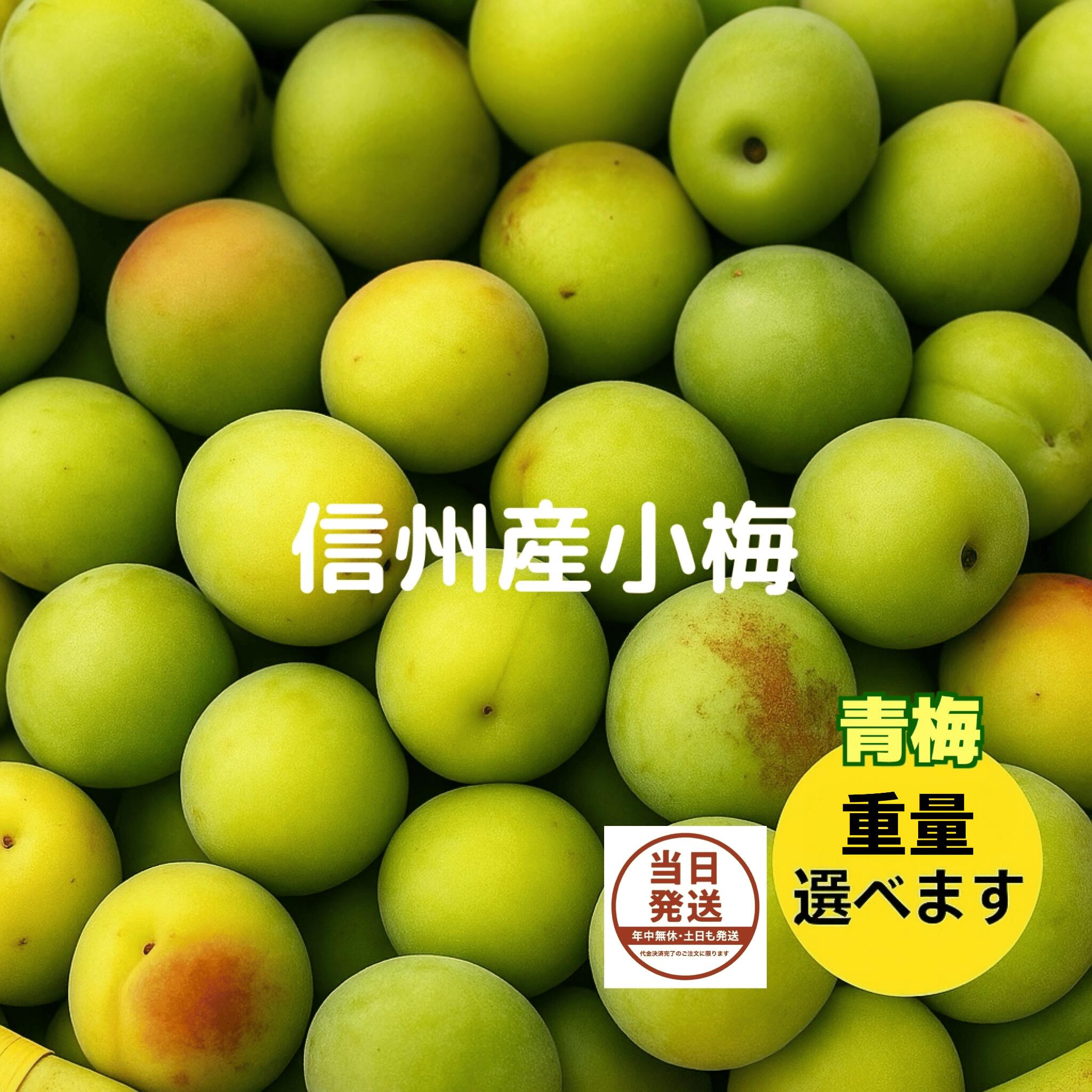 青梅 小梅 生梅 カリカリ梅 加工用 信州産 ちょっと訳あり 送料無料