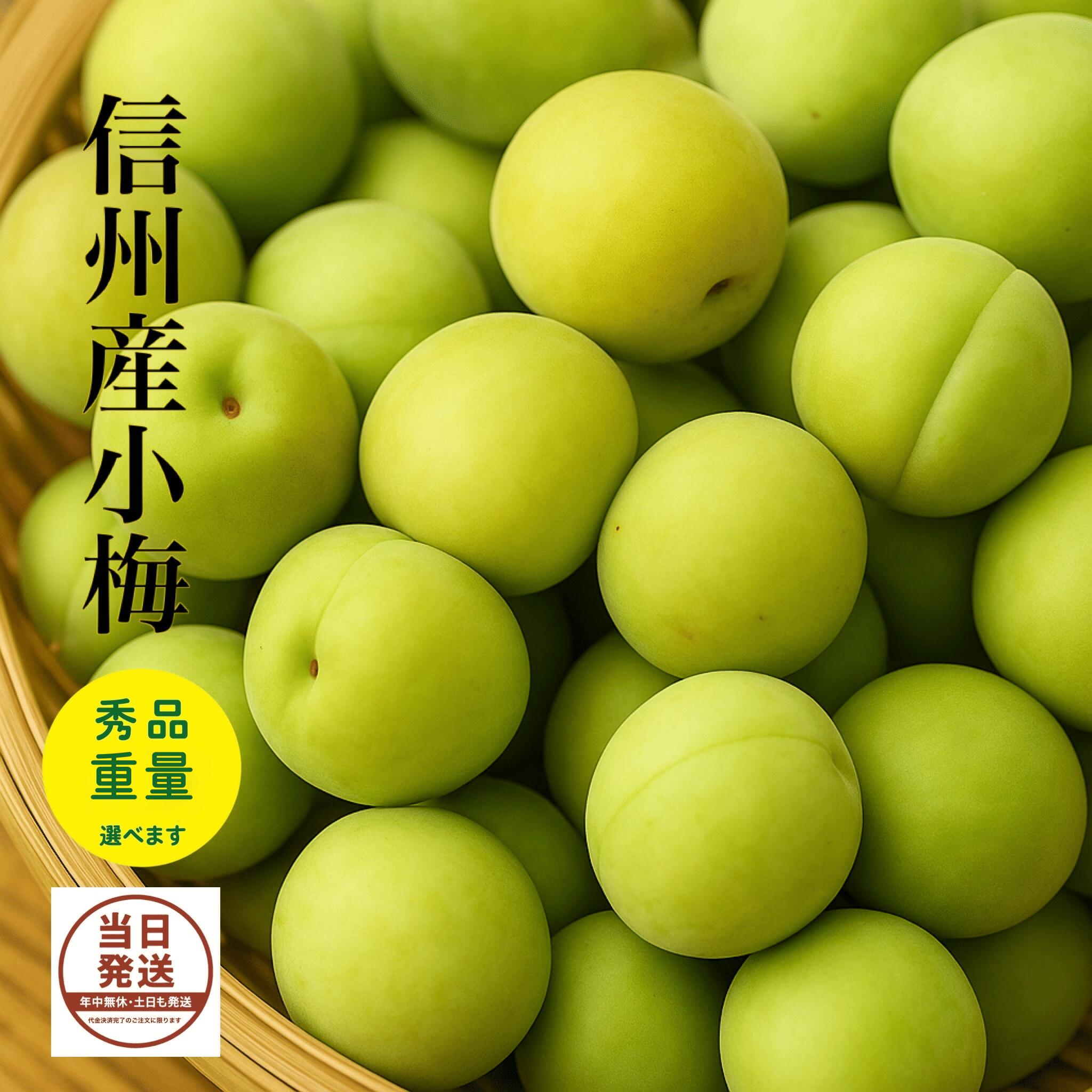 Other - 青梅 小梅 カリカリ梅 信州産 秀品 送料無料