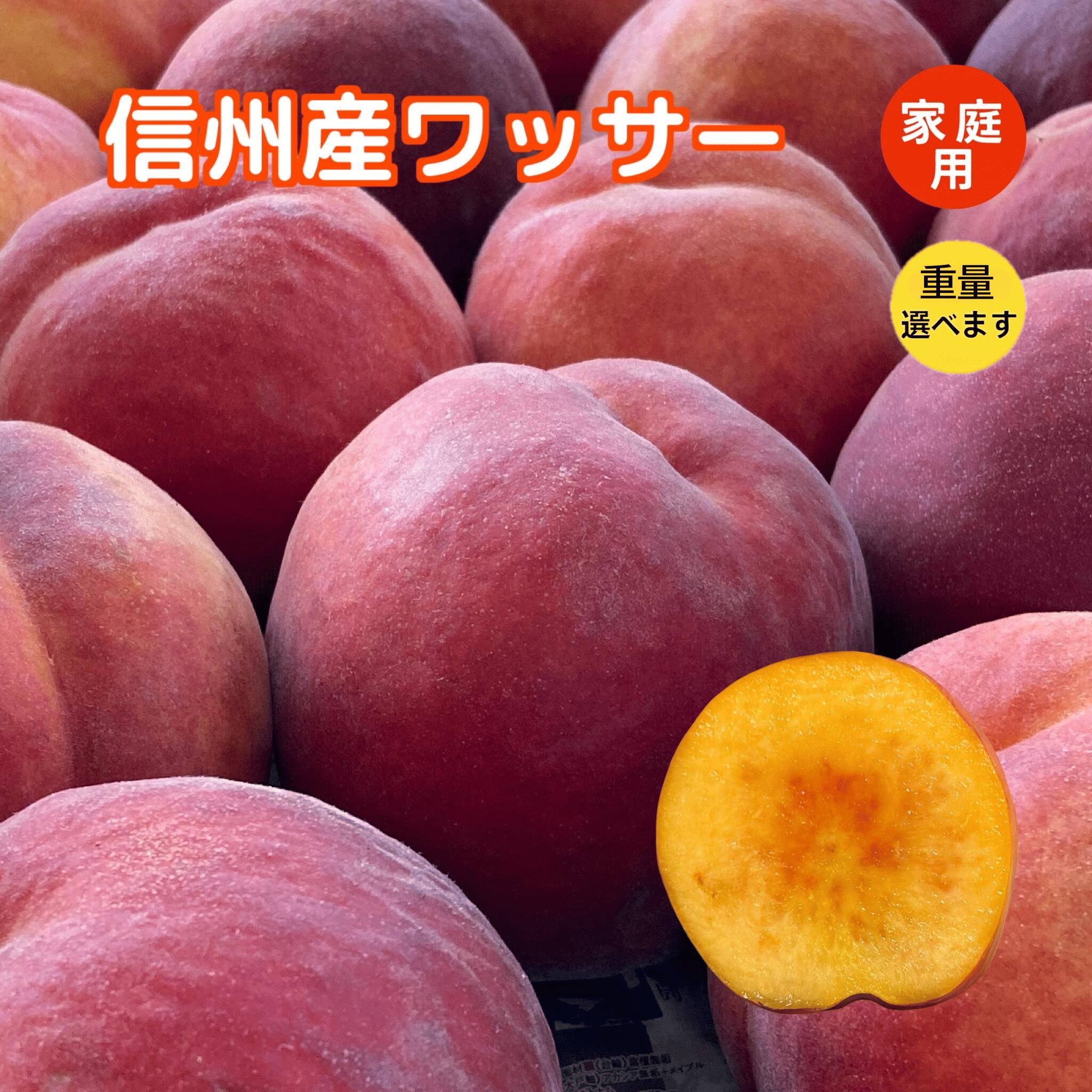 食品 長野産ワッサー加工用ミニ10キロ