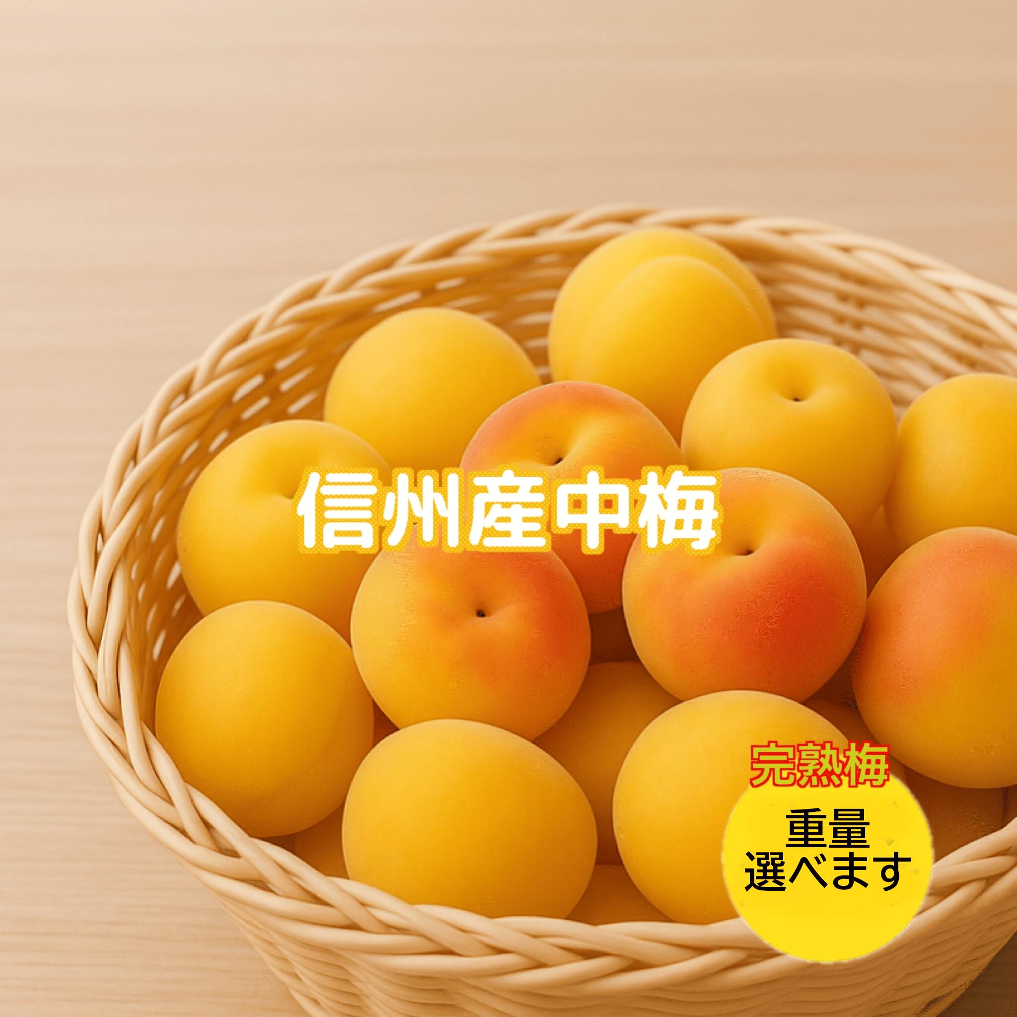 楽天市場】梅 白加賀 1kgの通販