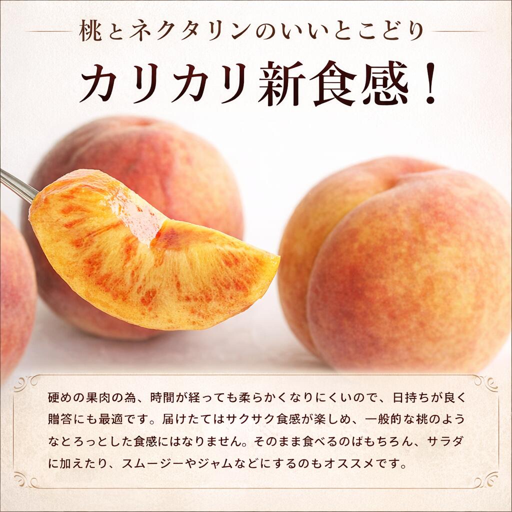 [日時指定不可] 訳あり ワッサー 桃 ネクタリン 家庭用ギフト 送料無料 ちょっとした贈り物 お中元