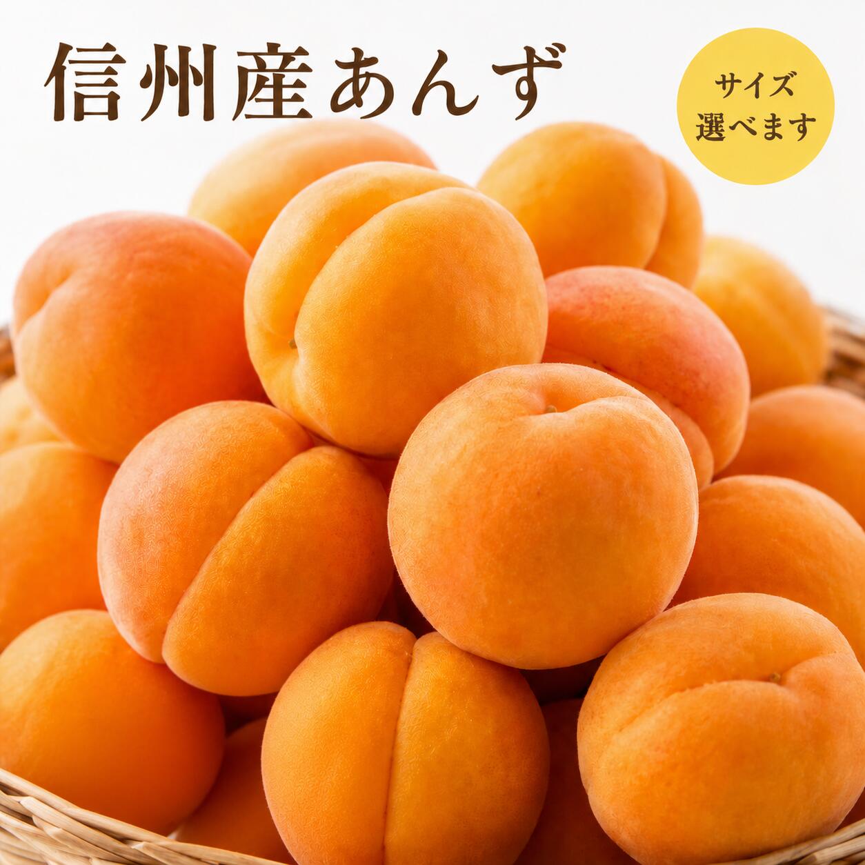 楽天市場】無農薬杏の通販