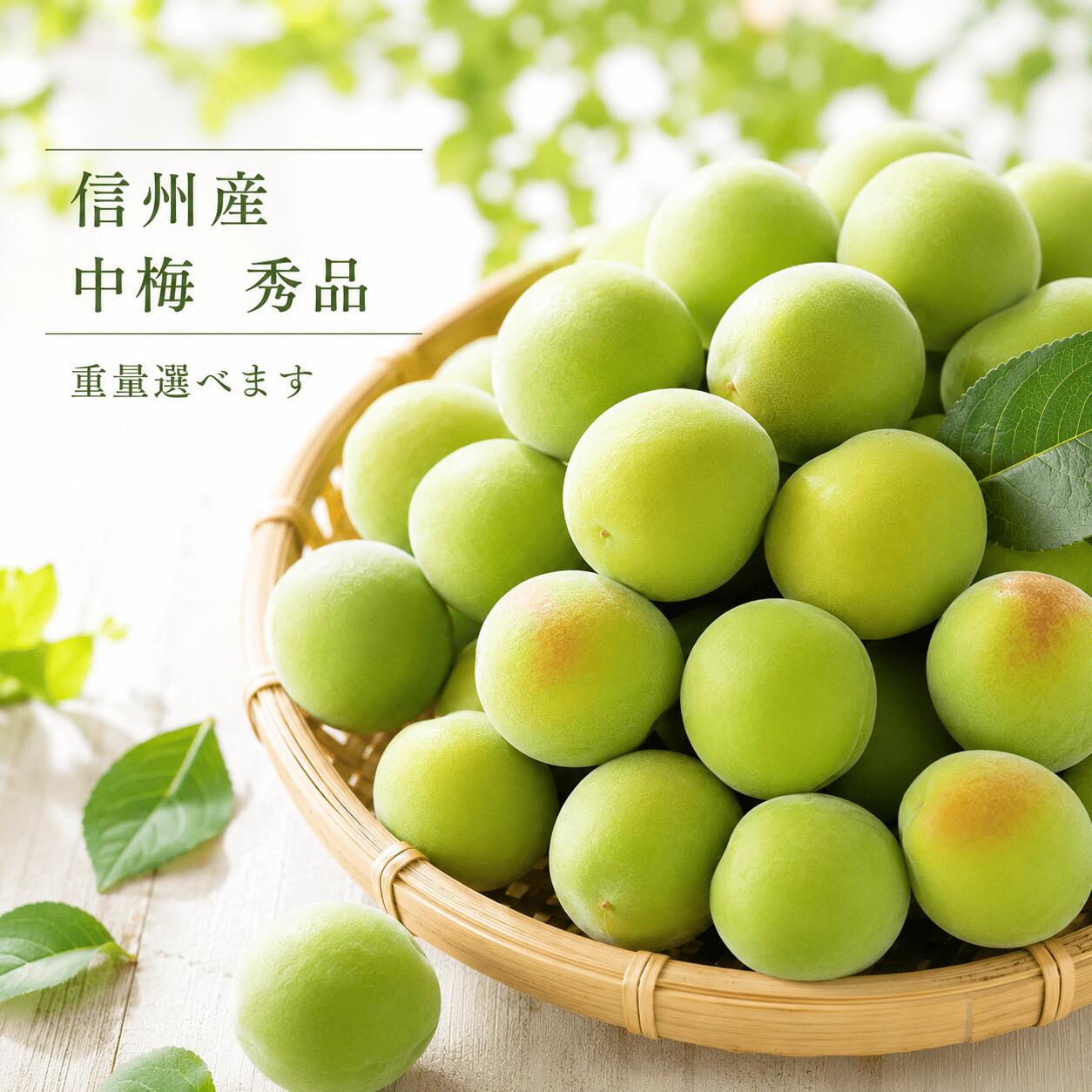 Ume - 秀品 青梅 中梅 品種おまかせ 梅 加工用 送料無料