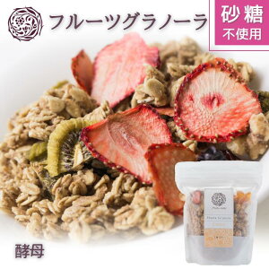 フルーツルーツ fruitsroots フルーツ グラノーラ 酵母 国産 無添加 砂糖不使用 COBO 糖質オフ ギフトフリー