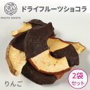 【4/30 23:59まで ポイント5倍】 ドライフルーツ ショコラ チョコレート 掛け りんご 2袋 有機カカオ 国産 ギフト対応可 フルーツルーツ FRUITSROOTS