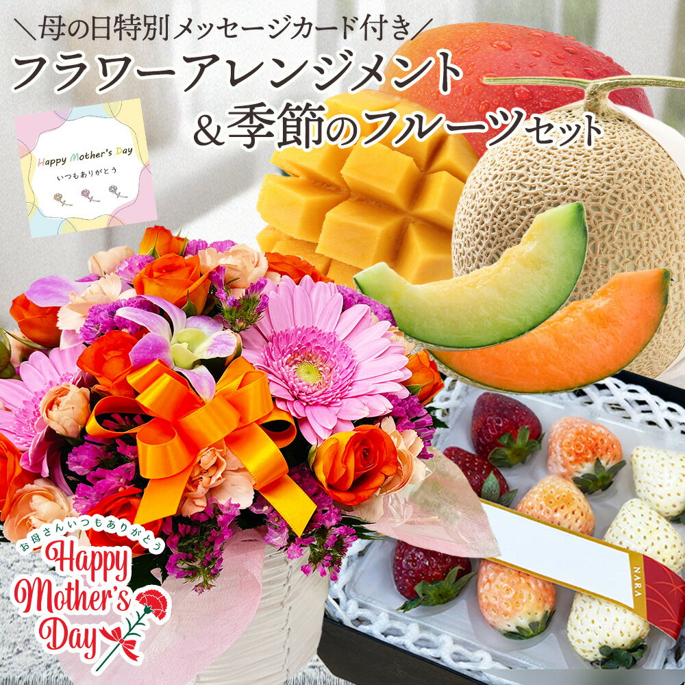 ����� ����󥸥��� �� ����Υե롼�� �� ���å� ���֥���󥸥��� ���� �ե����ե� �Ų� ���饦������ ���� ��������� �ܺ� ���ϥޥ󥴡� ��...