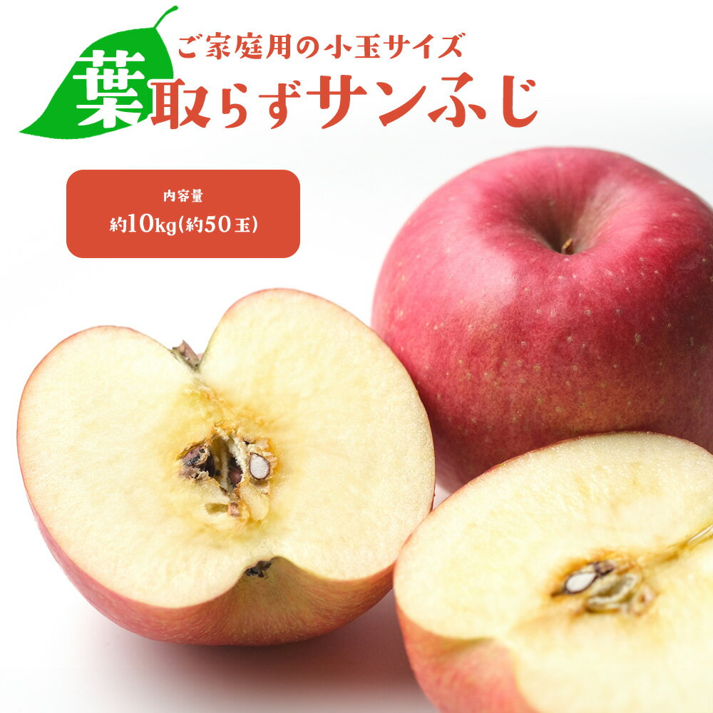 楽天市場】りんご（総個数48 ～ 59個入り）（フルーツ・果物｜食品）の通販