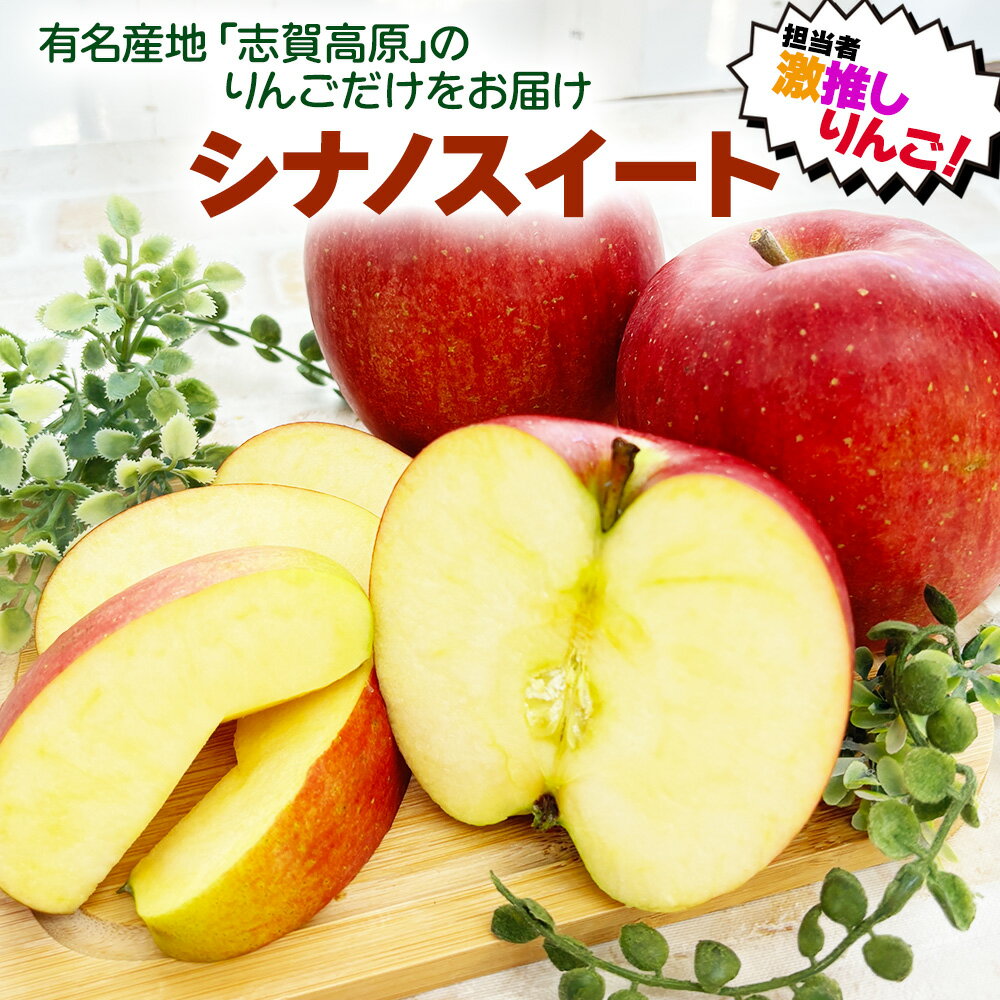 【激推し!!】 長野県 志賀高原産 りんご シナノスイート しなの 信濃 1.5kg 6玉 1.8kg 10玉 小玉 12玉 3kg 16~20玉 5kg 32...
