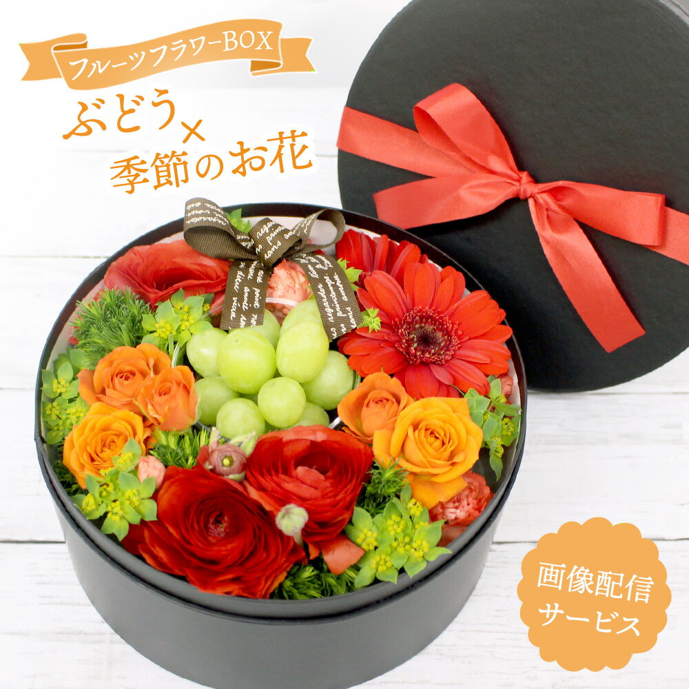 フルーツギフト フルーツ 果物 旬の果物 ぶどう 盛り合わせ 詰め合わせ 画像配信 花 フラワー 季 ...